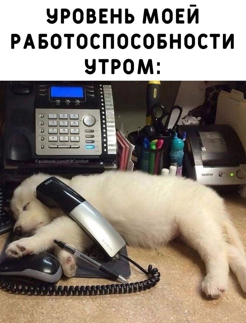 HR с красной помадой (@hr_in_red) on Twitter photo 
