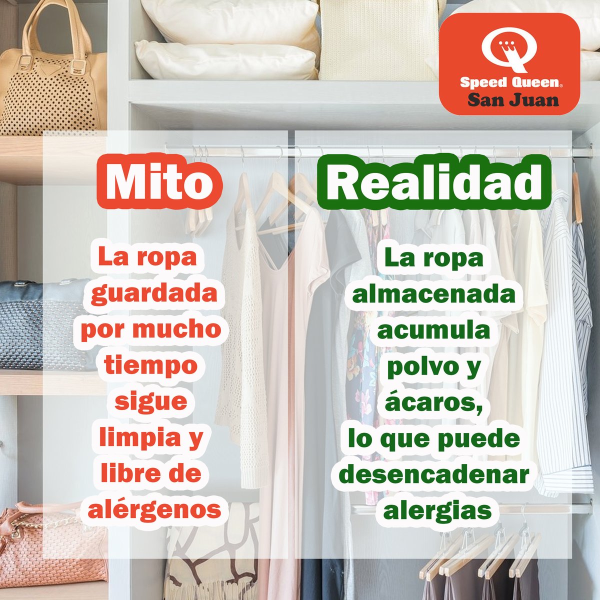 speedqueensj's tweet photo. La ropa almacenada acumula polvo y ácaros 🐜😷. Aunque parezca limpia, lo ideal es lavarla antes de usarla 🧼👕 Evitas alergias y cuidas tu piel 🧴✨
#TipsDeHogar #RopaLimpia #SaludEnCasa #Ácaros #lavanderia #QuickLaundry
✅ Detergente y suavizante Premium incluidos🧴 https://t.co/ZZJGiLy8xj