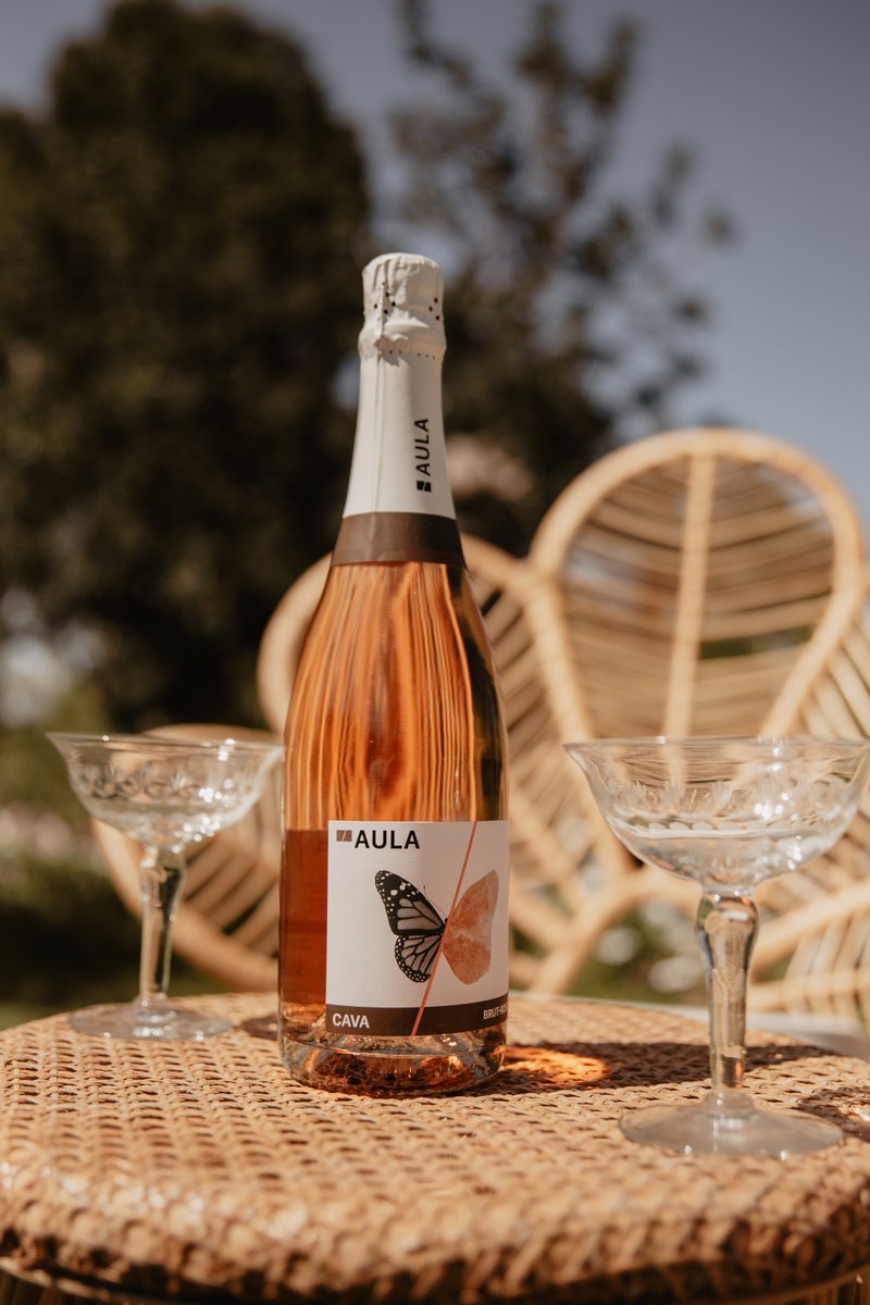Bodegas_Covinas's tweet photo. As the weather warms up, terraces come alive, the days get longer, and rosé wines take center stage. 🍷☀️
#Coviñas #DoUtielRequena https://t.co/XyweLL6qiR