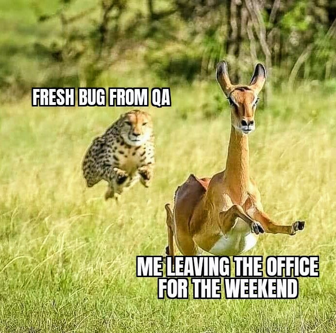 Ryan Els tweet media