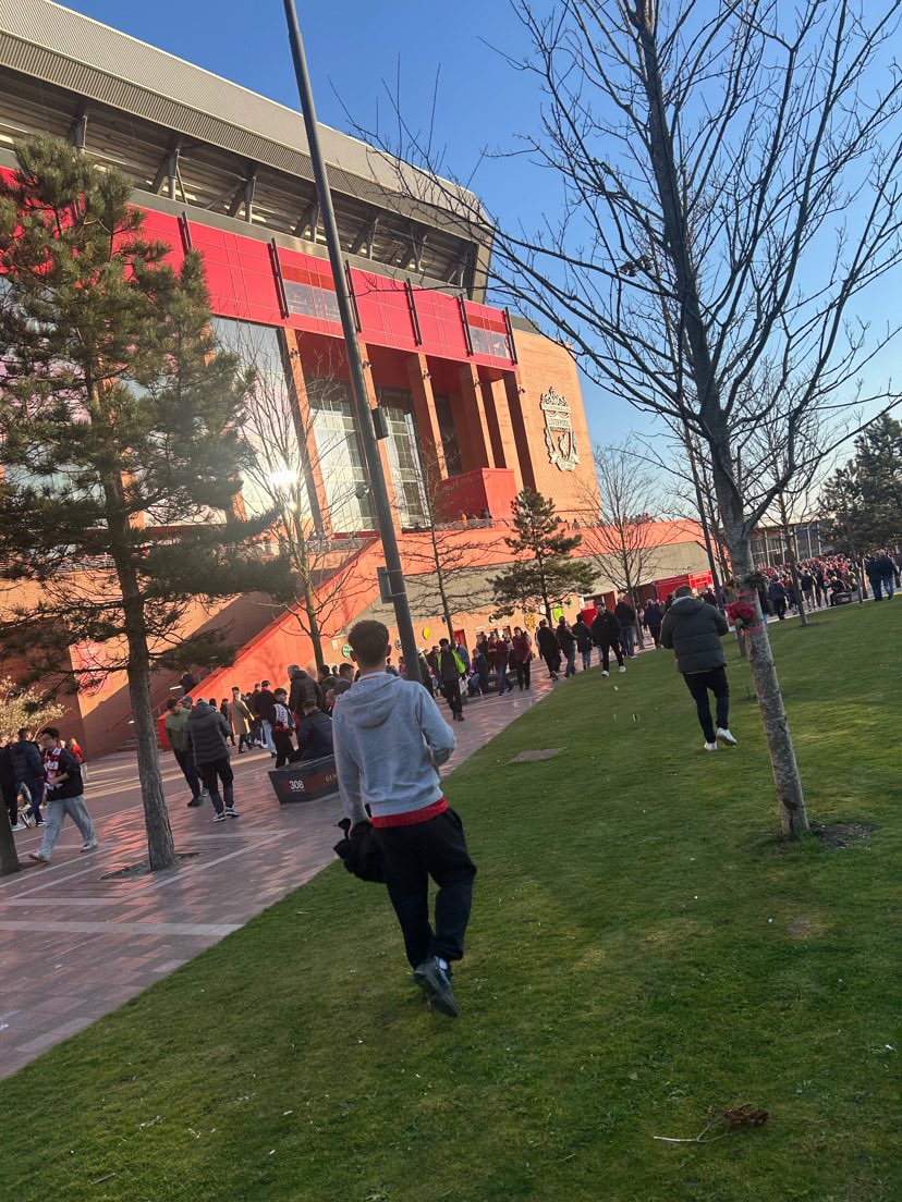 Elizabeth Sullivan tweet media