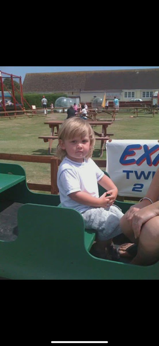 Elizabeth Sullivan tweet media