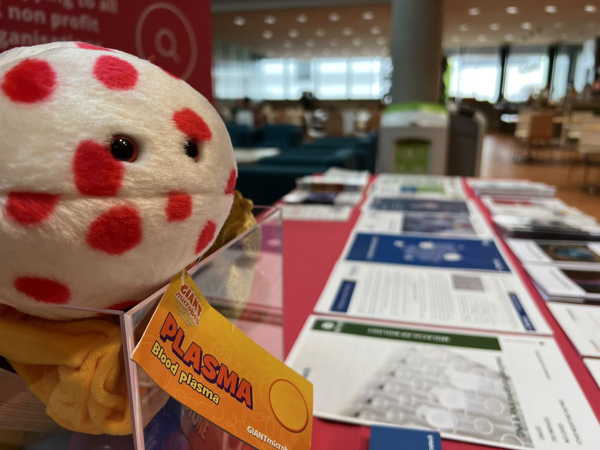 Adam Stratech tweet media