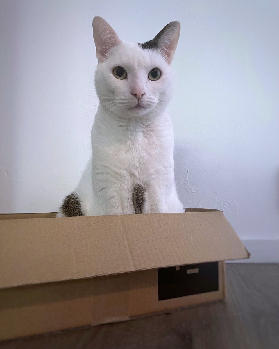 Mono &amp; Bono zijn 6!! 🥳💛