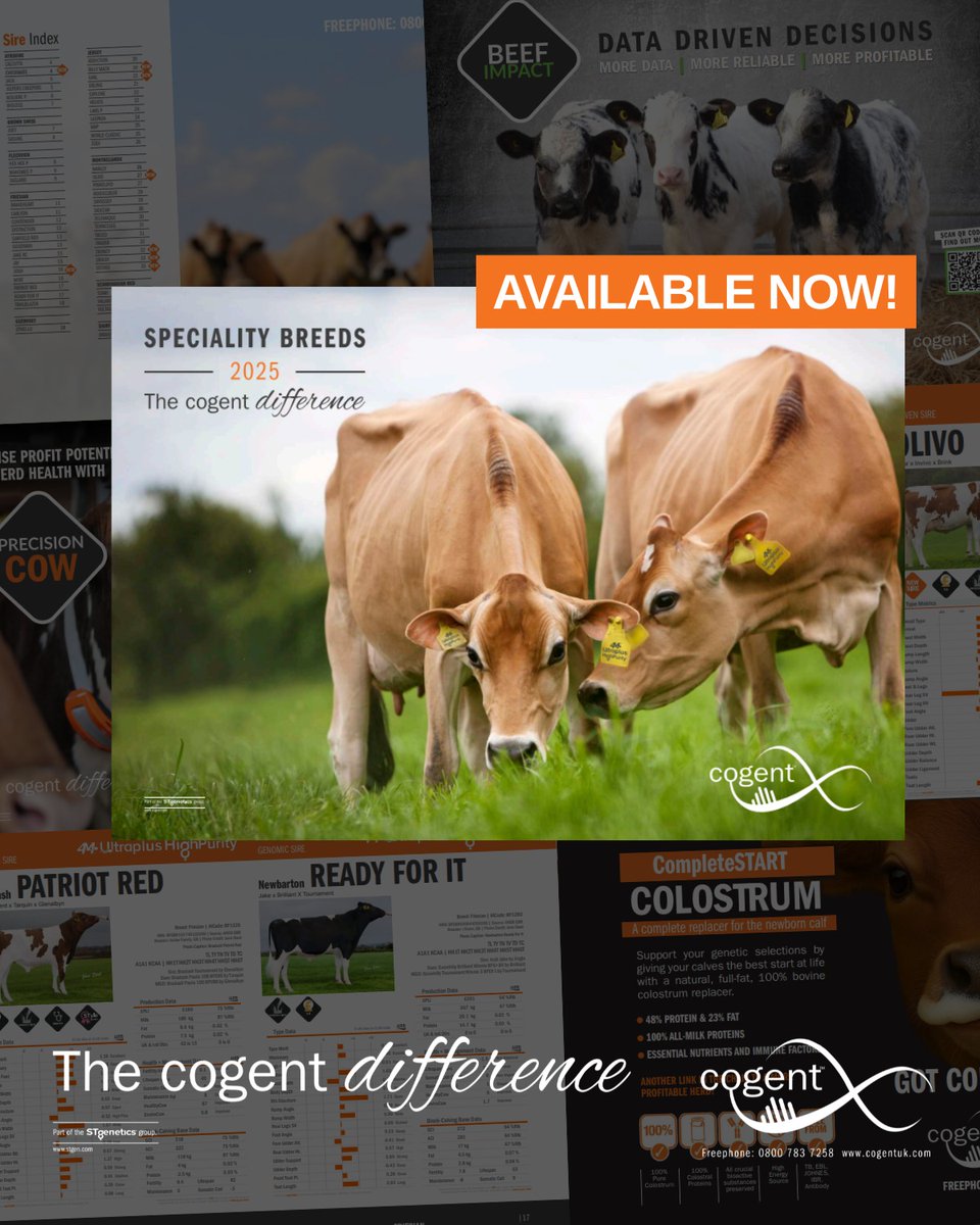 April 2025 Speciality Breeds Catalogue is Live!
Our latest catalogue is packed with top-performing sires, with eight new bulls across four key breeds.

Explore the full catalogue and see the Cogent difference 👉 cogentuk.com/catalogues/dow…

#Thecogentdifference #SpecialityBreeds
