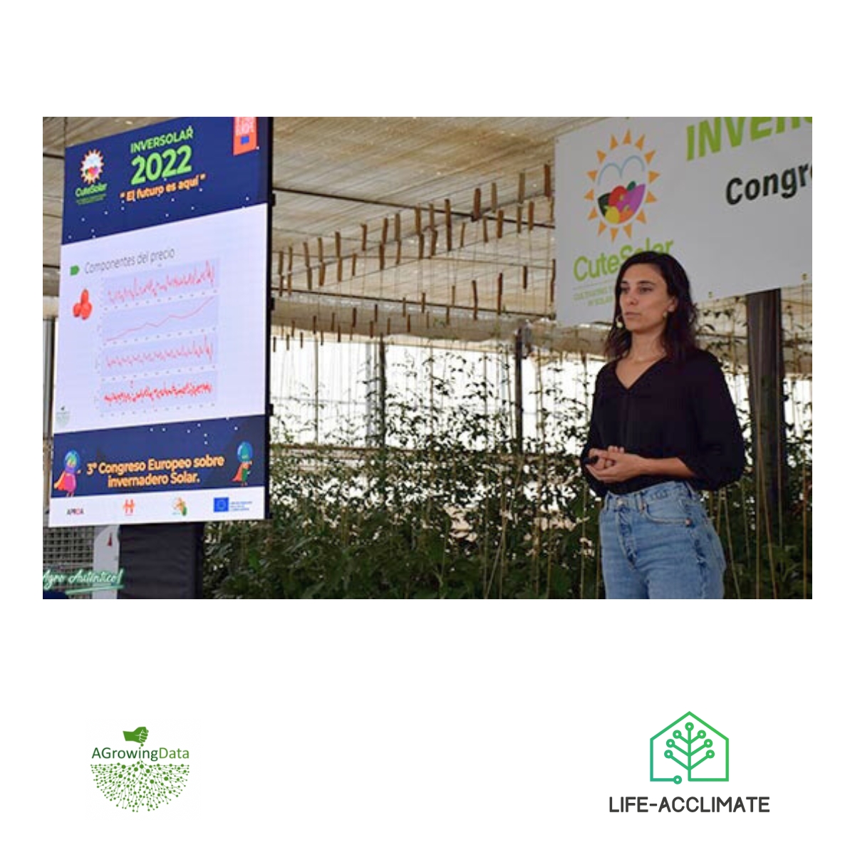 lifeacclimate's tweet image. In the LIFE-Acclimate project, @AGrowingData is harnessing the power of AI and data analytics to transform greenhouse farming!🌱
By integrating image analysis and climatic sensor data, our team will develop advanced models to forecast the production of key crops.🤖
#LIFEACCLIMATE