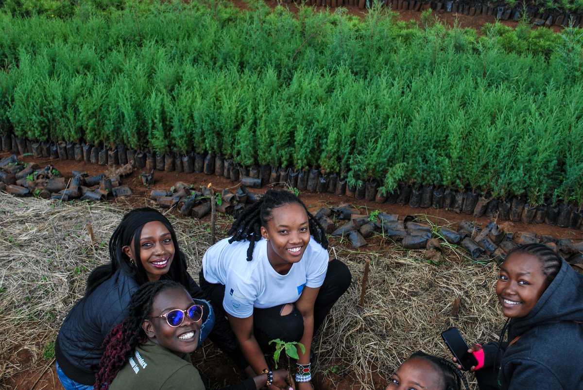 Mosesnoah254's tweet photo. We are not too young to lead, and not too small to change the world.
Inspired by the Africa Water Ambassadors at Lake Ol-Bolossat who planted trees, educated peers and fought for their future.
#Youth4Nature #SaveOlBolossat #GenerationGreen https://t.co/GXc0vDDeKs