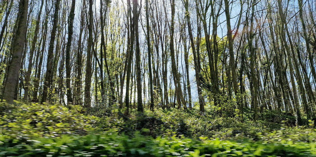 A view from a car window (don't worry, I was the passenger)