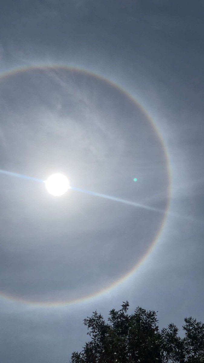 سبحان الله الشمس الان👀..

#الشمس_اليوم