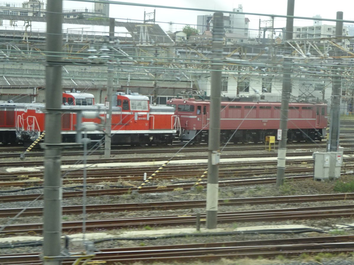 えっ廃...車？　されるの？
#EF81 #尾久駅 #尾久車両センター