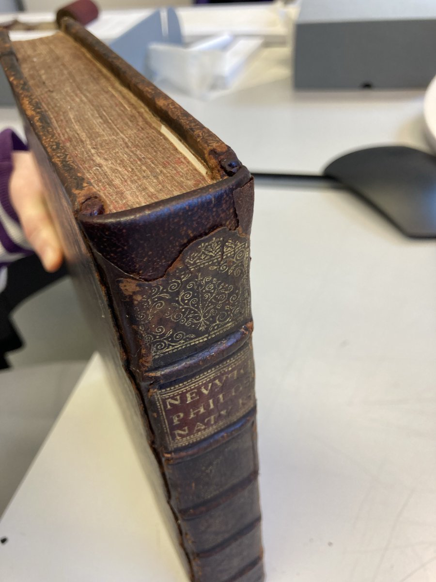 John Rylands Research Institute and Library tweet media