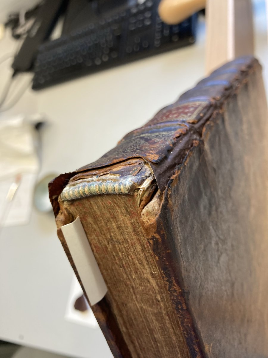 John Rylands Research Institute and Library tweet media