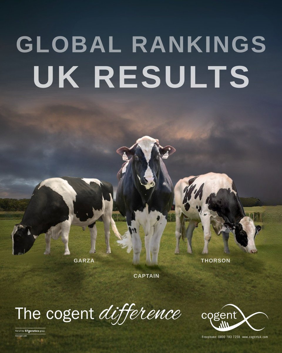 Why do global bull rankings matter to UK farms?
At Cogent, world-leading genetics meet real-world UK results. 

We match bulls like CAPTAIN, THORSON &amp; GARZA with UK data, embryos &amp; partner farms.
✅ Tailored for UK
✅ Backed by STgenetics
✅ Built for profit &amp; sustainability