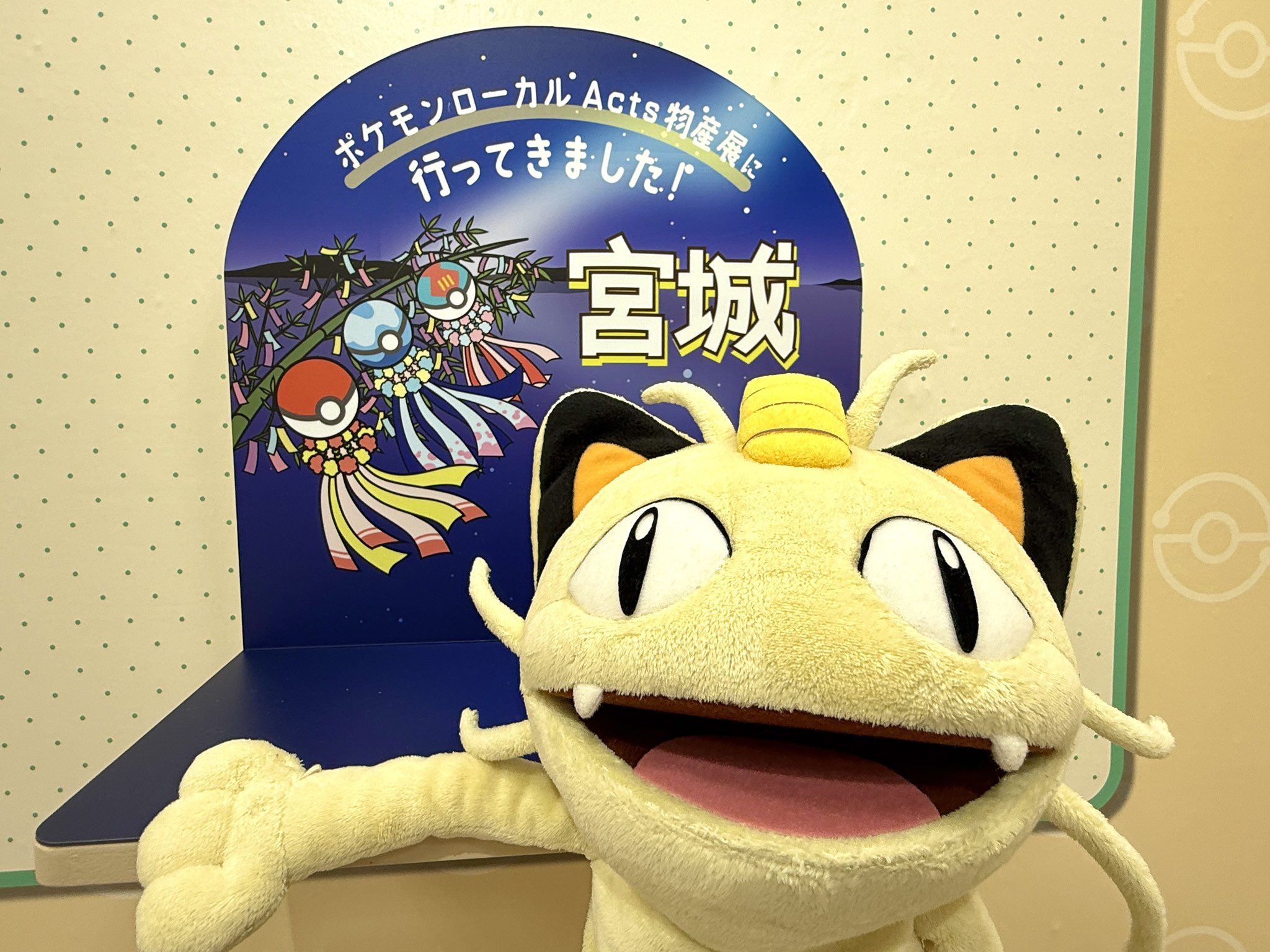 ポケモンだいすきクラブ 2008 プロモ ピカチュウ Lv.12
