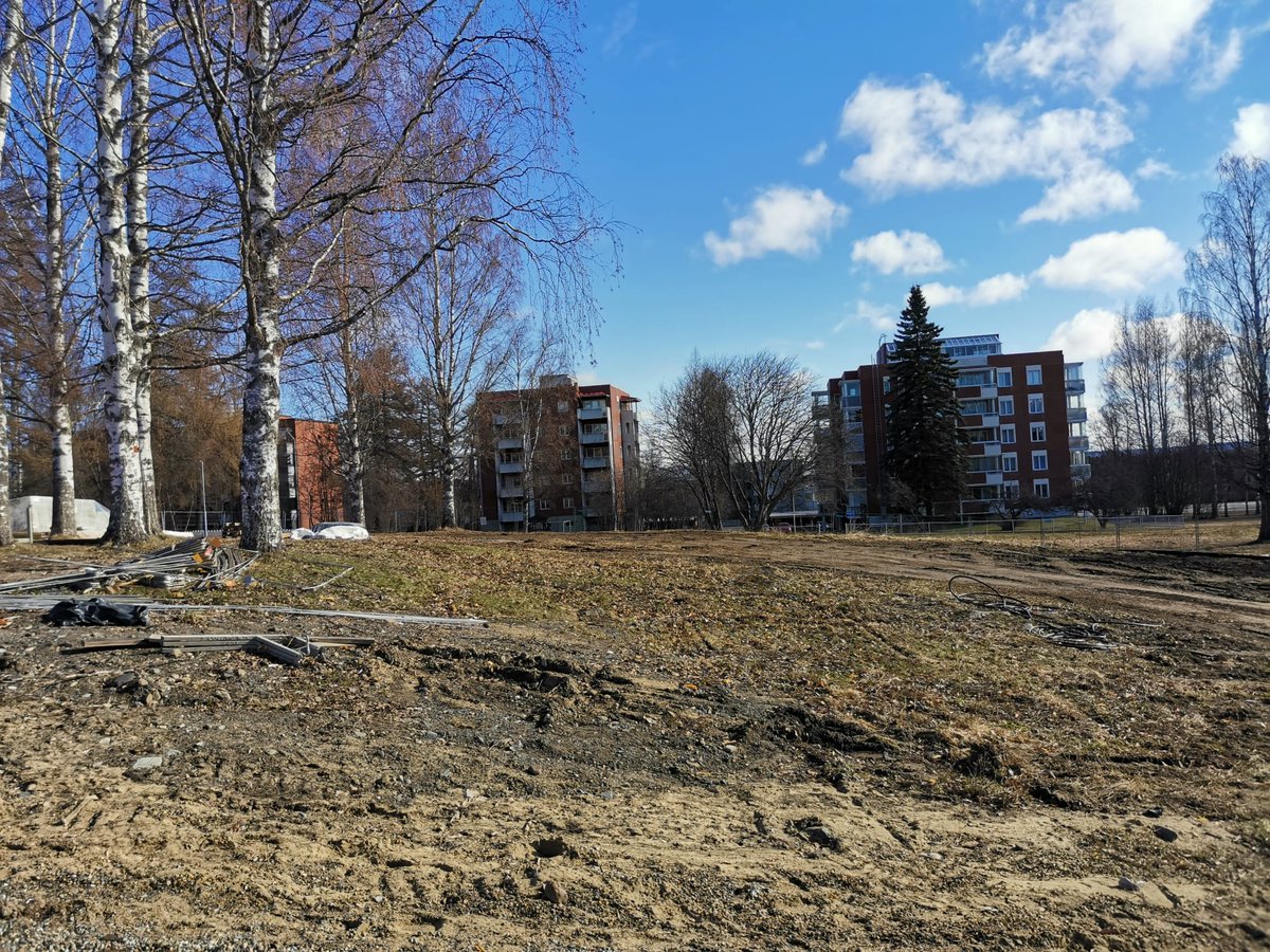 Kirsikkapuut vaativat lämpimän ja suojaisan kasvupaikan, mikä täällä mäellä olisi tarjolla. 
Laitahan peukkua 👍 jos olet vesitorninmäen kirsikkapuiston kannalla.
Tässä Karjalaisen juttu (tilaajille) aiheesta: karjalainen.fi/paikalliset/84…
#Niinivaara #Joensuu