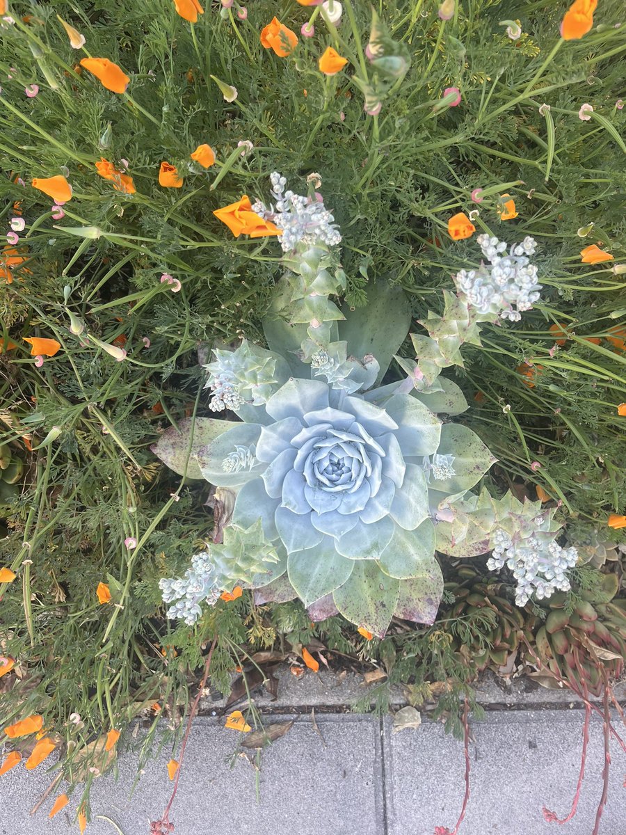 twangsap's tweet photo. life is beautiful https://t.co/6D5MM9vlXa