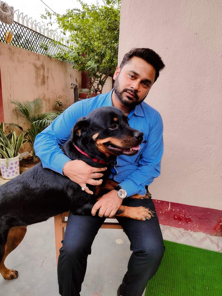iCSRajput's tweet photo. 3 years since my beloved Shadow crossed the rainbow bridge.
A voiceless companion, but full of love and loyalty - your absence is felt every single day.
Miss you, Shadow. You’ll always be in my heart.
#RIPShadow #DogLove #ForeverInMyHeart https://t.co/YMLQ7YTu6x