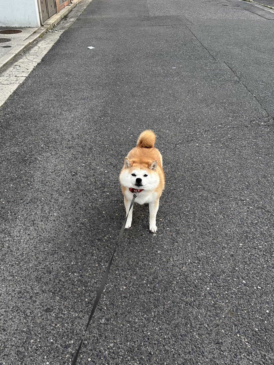 mofmof_kon's tweet photo. 向かってる先が病院だと気づいたｲｯﾇ https://t.co/rRq6Cdim69