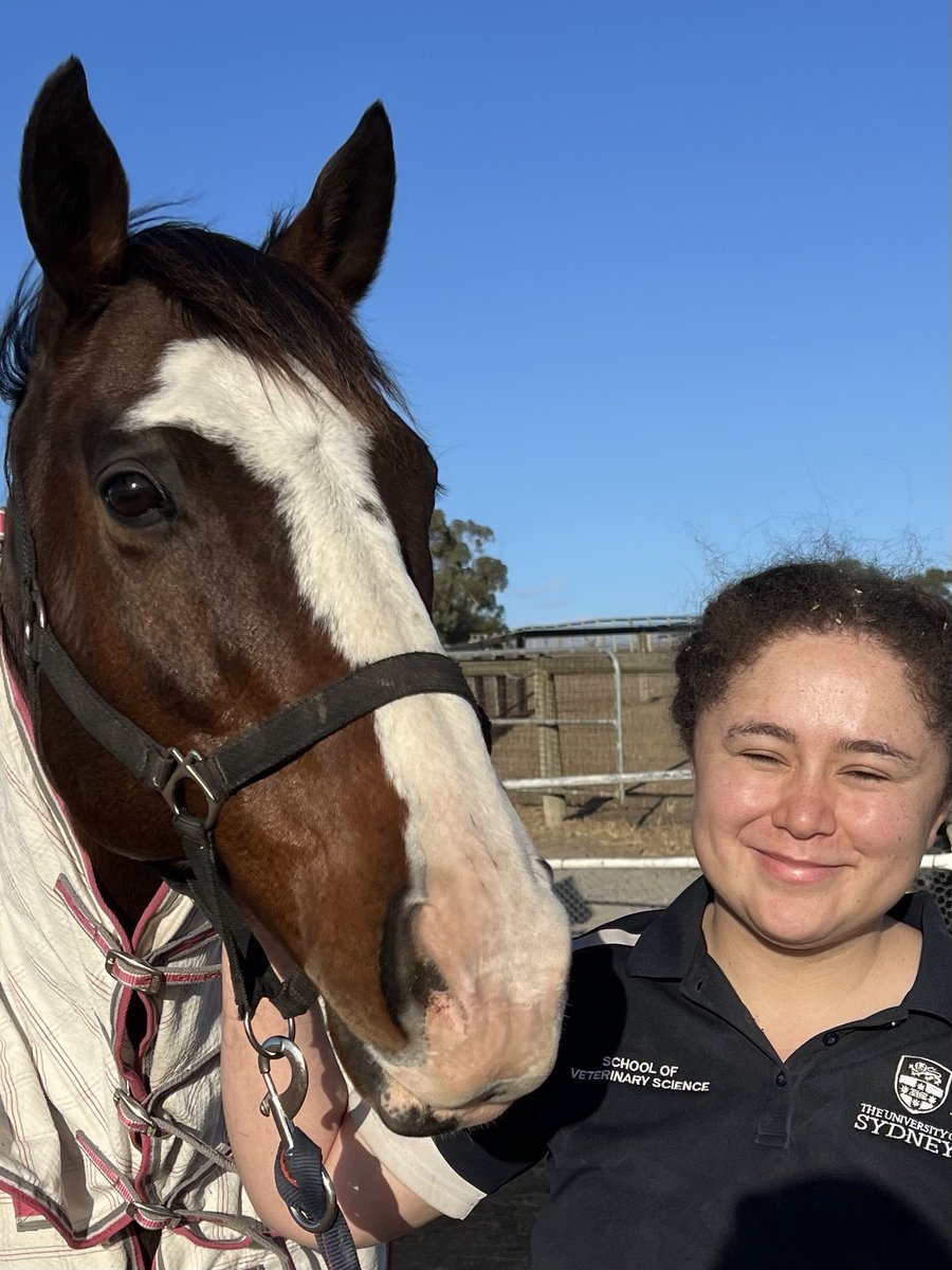 LivingLegendsAU's tweet photo. 🌟 Tomorrow is ANZAC Day Race Day! Join celebrations at Flemington Racecourse of the bravery of Aussie & Kiwi soldiers, alongside our fabulous horses, Prince Of Penzance (POP) & Tom Melbourne! 🐴✨ After their pampering with #LearningWithLegends student Audrey, they'll parade post Races 2 & 4. Don’t miss your chance for pats, treats, & selfies! Let's honour our heroes together! 💖 #VRCFlemington #LoveTheHorse #LifeAfterRacing #LegendsOnTheRoad with Lexus #DiscoverHume #EveryBitDifferent #VisitVictoria