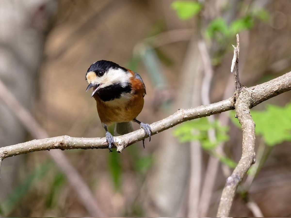 green_boy1973's tweet photo. https://t.co/yGiVMqKNd0