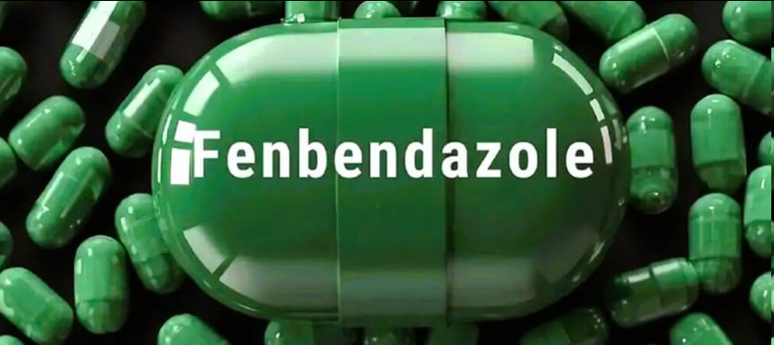 AKTA FENBENDAZOLU – LEK, KTÓRY PRZERAŻA WIELKIE FARMACJE
Weterynaryjny środek odrobaczający złamał kod. Fenbendazol — niepatentowany, tani i niepatentowalny — rozwala Medyczne Państwo Głębokie. Nie dlatego, że jest niebezpieczny. Ale dlatego, że jest zbyt bezpieczny, zbyt