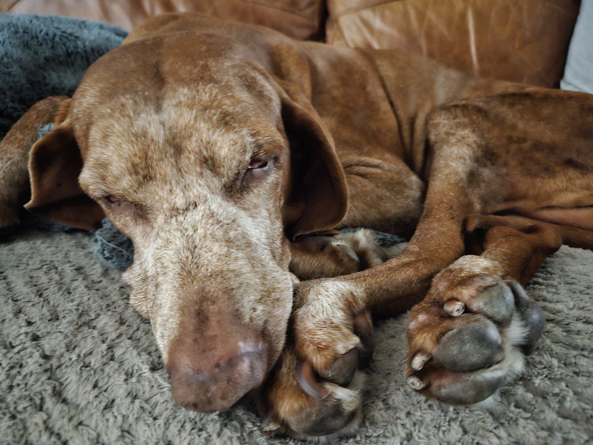 Thursday snoozin