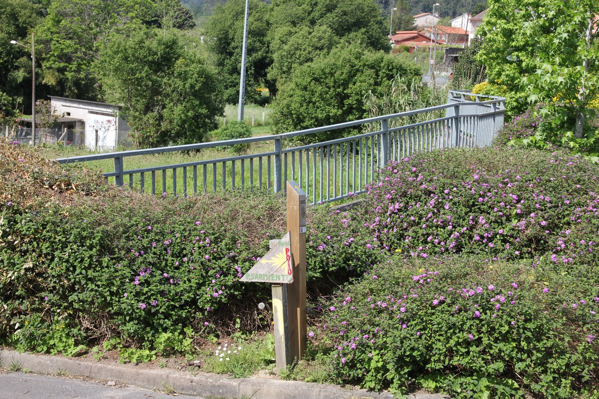 TheWayExp's tweet photo. How do you find your way on the Camino de Santiago?

🟡 Follow the yellow arrows
🐚 Spot the scallop shells
🗺️ Read the stone markers
From forests to cities, the way is always marked—and always meaningful.
#CaminoDeSantiago #YellowArrow #ScallopShell #WayOfStJames #BuenCamino https://t.co/1Bp08cgyGt