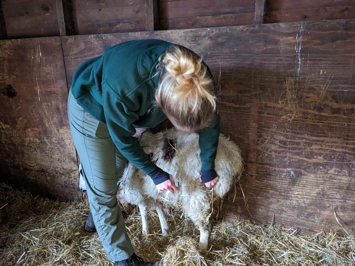 City Commons tweet media