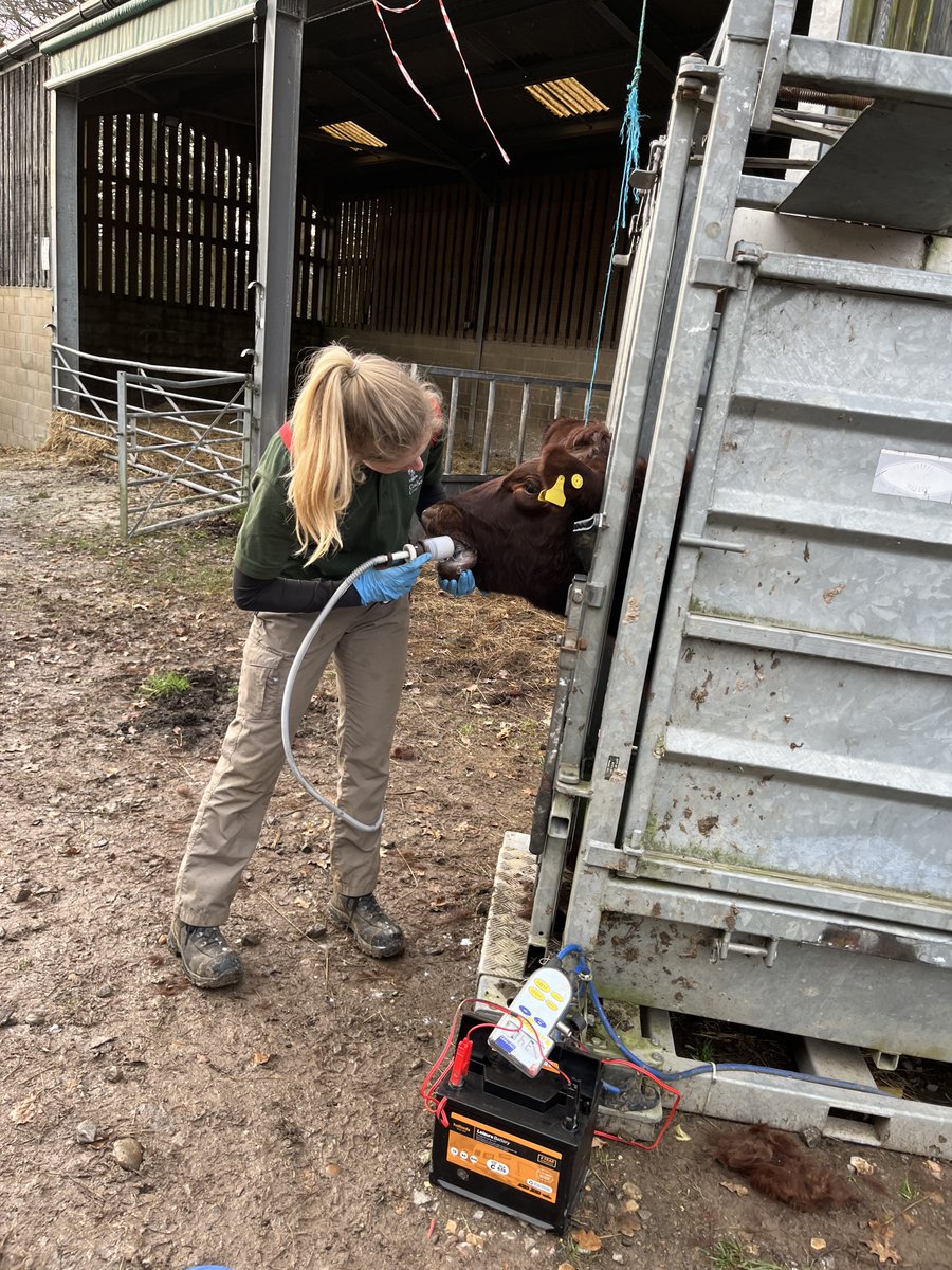 🌿 Love the outdoors? Kickstart your conservation career as an Apprentice Ranger at the West Wickham &amp; Coulsdon Commons! 
✅ Earn qualifications (brushcutter, chipper &amp; more)
✅ Work in nature
✅ Help protect local wildlife
Apply by 8 May 👉 jobs.cityoflondon.gov.uk...
