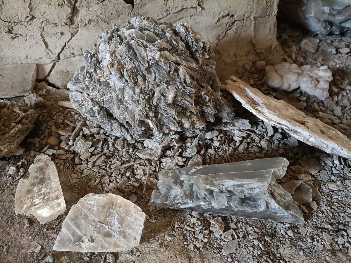 I gessi, patrimonio UNESCO , sono oltre ai botroidi una delle attrazioni del nostro Museo dei botroidi di Luigi Fantini 

Poterli toccare e studiare con le dita rende il tutto unico