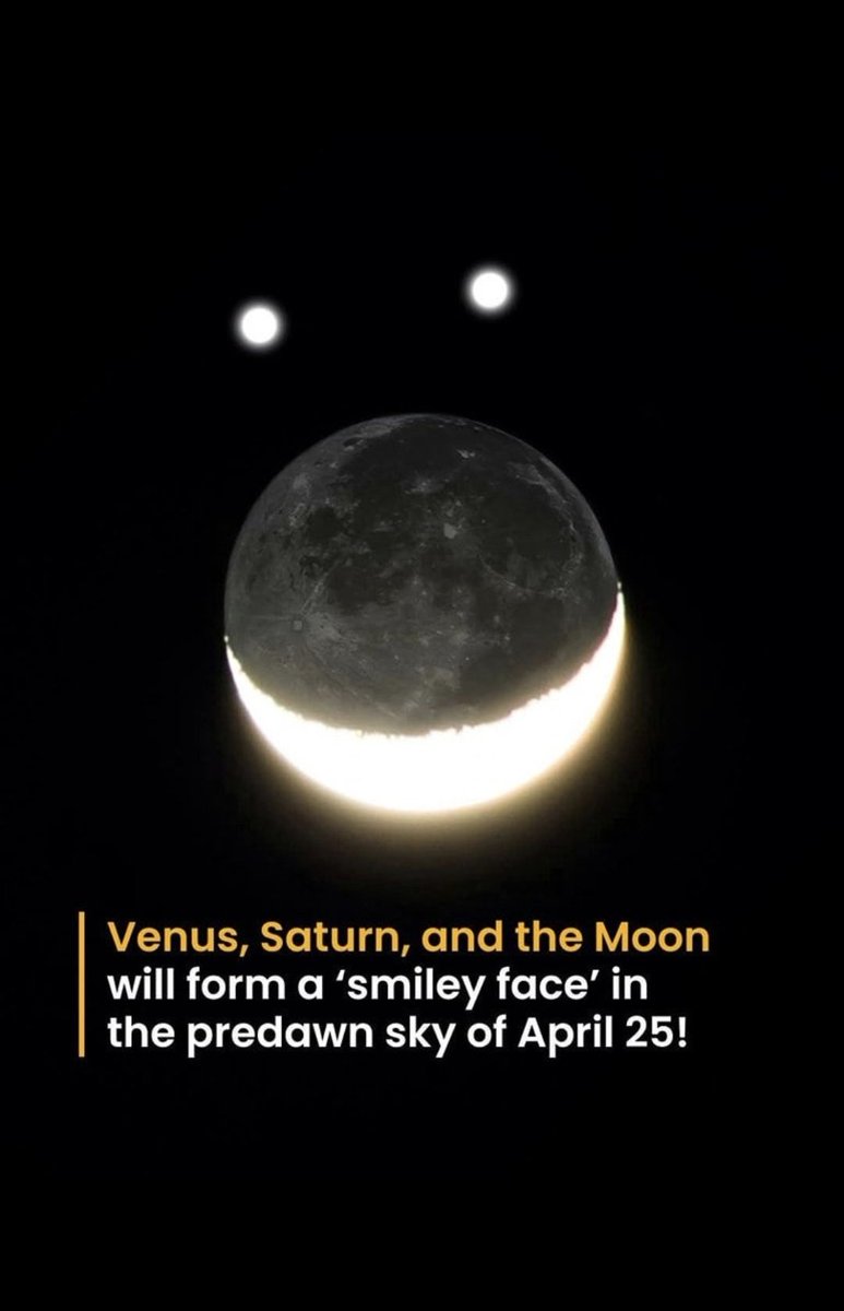 254brewingco tweet media