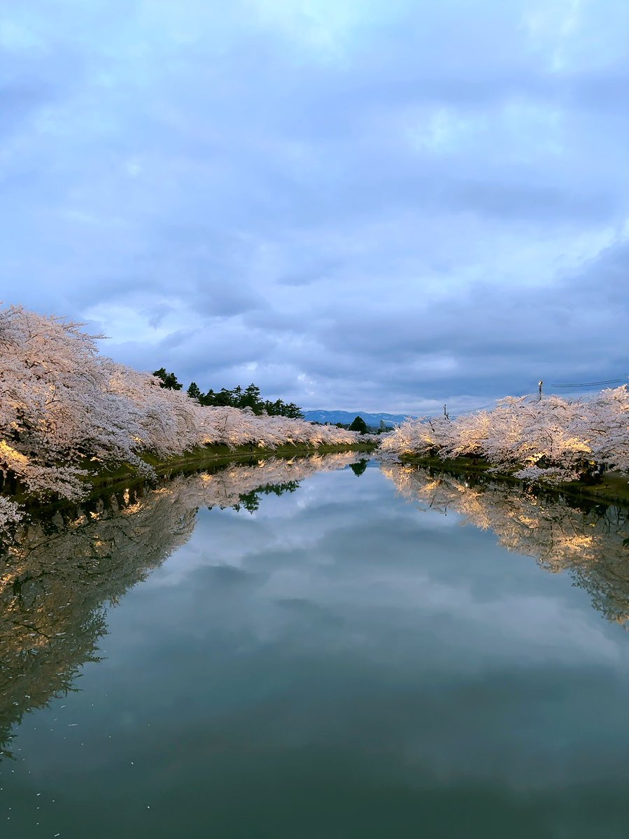 tsugaruno_yukie's tweet image. 今年も桜が綺麗でした🌸
今年も行くことが出来たことに感謝です
半崎家が素敵な写真を撮ったところで我が家も3人で撮りました
半崎家と違いすぎて大笑いしたのでイオンモール盛岡で美子さんに報告したいと思います🤣