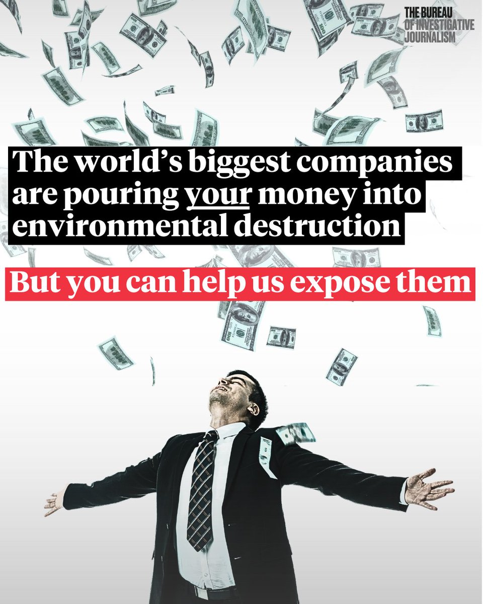 We’re exposing climate crimes on the road to COP30 in November – and you can help us apply the pressure 💪

Support our <a href="/BigGive/">Big Give</a> campaign today and your support will be DOUBLED 🔗  bit.ly/bureaubiggive

#climatechange #COP30 #climatejournalism #investigativejournalism