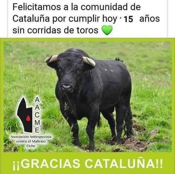 jose (@nefeerr) on Twitter photo 