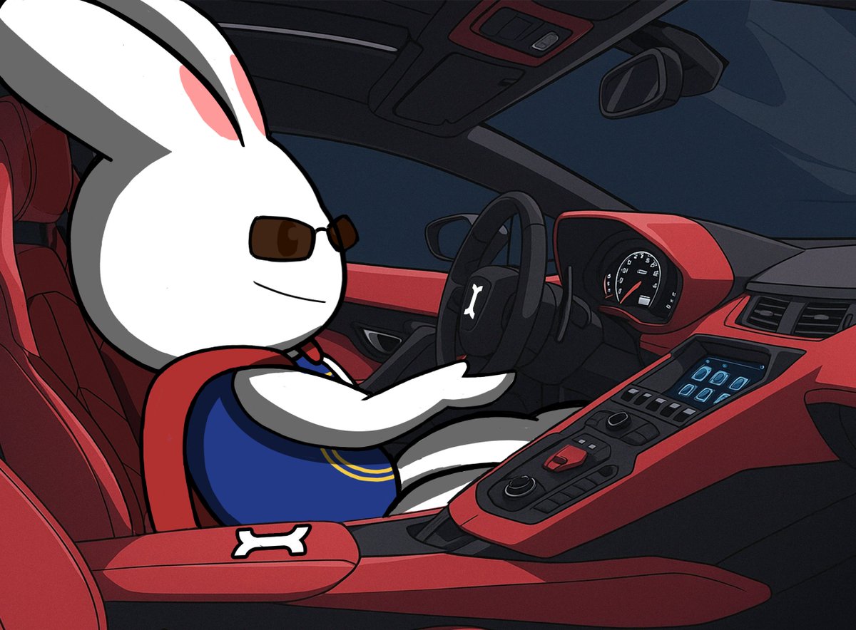 TeamTuzi's tweet photo. Have you decided on the color of your Lambobunny yet 😎? https://t.co/8csU7dKIns