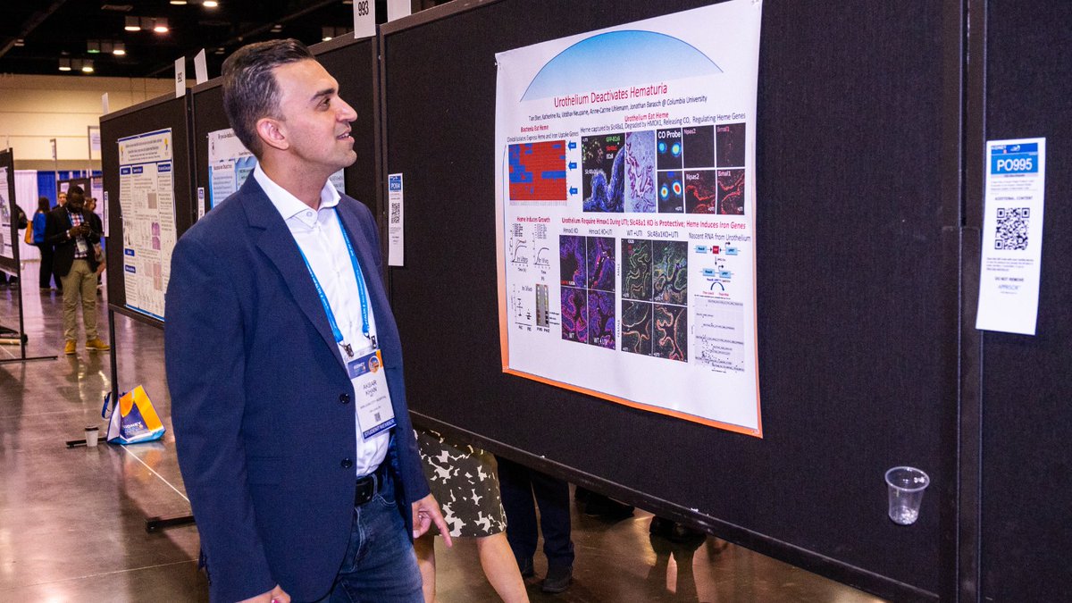 The opportunity to share your research global stage is here! Submit your research abstract or case report for ASN Kidney Week 2025. Connect with 12,000+ kidney professionals and help shape the future of kidney care. 

📅 Submit by May 21 at 2 p.m. EDT. 
🔗asn.kdny.info/3IfU50VE8Ou