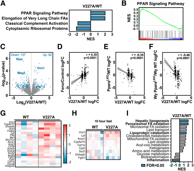 UCLA Gastroenterology and Hepatology (@uclagihep) on Twitter photo 🔬<a href="/ZanderNguyen/">Zander Nguyen</a> lab found Val227Ala variant is activating mutation that promotes ⬇️ plasma triglycerides in 🐁. Effect is mediated by upregulation of cardiac lipoprotein lipase. 🔑Explains why humans w/mutation have a favorable lipid profile <a href="/jlipidres/">Journal of Lipid Research</a>
👉jlr.org/article/S0022-… 🔬<a href="/ZanderNguyen/">Zander Nguyen</a> lab found Val227Ala variant is activating mutation that promotes ⬇️ plasma triglycerides in 🐁. Effect is mediated by upregulation of cardiac lipoprotein lipase. 🔑Explains why humans w/mutation have a favorable lipid profile <a href="/jlipidres/">Journal of Lipid Research</a>
👉jlr.org/article/S0022-…