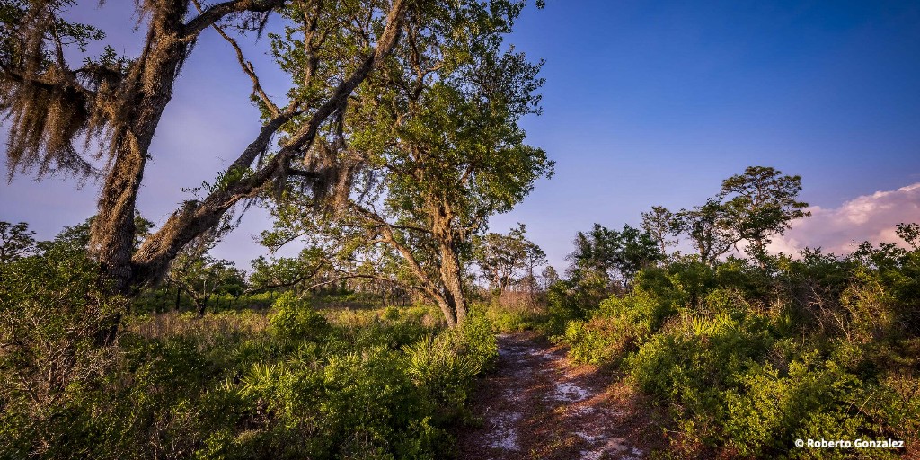 Whether through fens or forests. Along straight paths or winding. There’s something magical about being on a trail. Find one near you: nature.ly/3GkJDfa