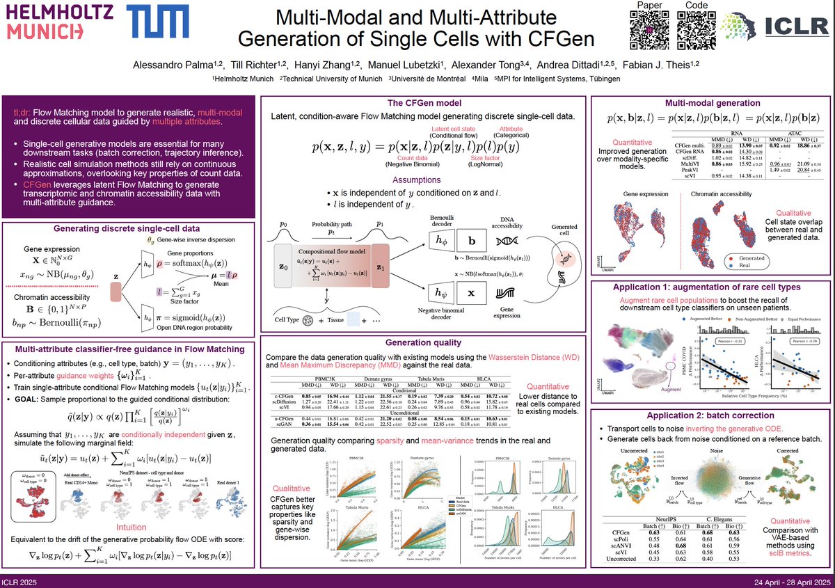 Alessandro Palma (@ale__palmaa) on Twitter photo We will present our work “Multi-Modal and Multi-Attribute Generation of Single Cells with CFGen” at #ICLR2025. Meet us tomorrow at 10 am, Hall 3, poster #17!
This is joint work with <a href="/TillRichter6/">Till Richter</a> hanyi manuel <a href="/AlexanderTong7/">Alex Tong</a> <a href="/andrea_dittadi/">Andrea Dittadi</a> <a href="/fabian_theis/">Fabian Theis</a> We will present our work “Multi-Modal and Multi-Attribute Generation of Single Cells with CFGen” at #ICLR2025. Meet us tomorrow at 10 am, Hall 3, poster #17!
This is joint work with <a href="/TillRichter6/">Till Richter</a> hanyi manuel <a href="/AlexanderTong7/">Alex Tong</a> <a href="/andrea_dittadi/">Andrea Dittadi</a> <a href="/fabian_theis/">Fabian Theis</a>