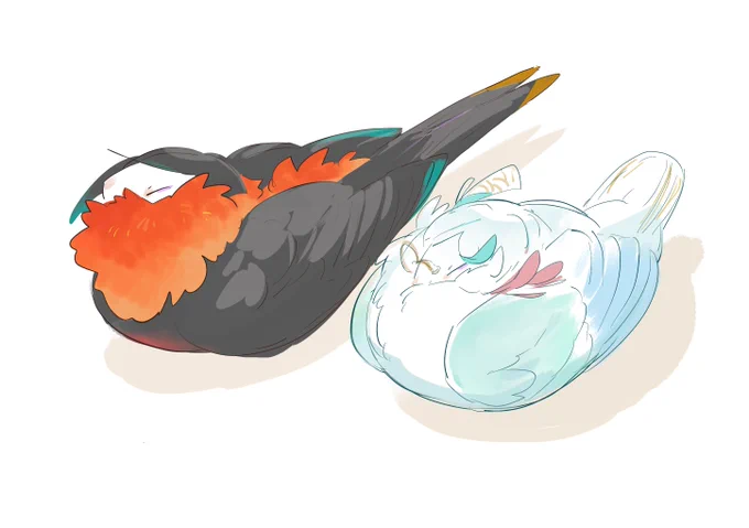 チマ