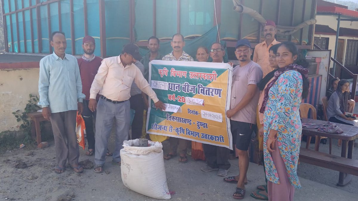 agrideptuk's tweet image. आज कृषि विभाग, उत्तरकाशी द्वारा किसानों को काला धान बीज वितरित किए गए ।
जैविक खेती की ओर एक सार्थक कदम!

#BlackRice
#SeedDistribution
#AgricultureDepartmentUttarkashi
#FarmersFirst
#SustainableFarming
#OrganicFarming