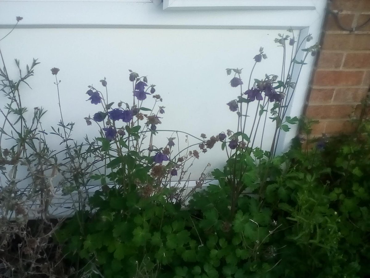 Chris Worledge tweet media