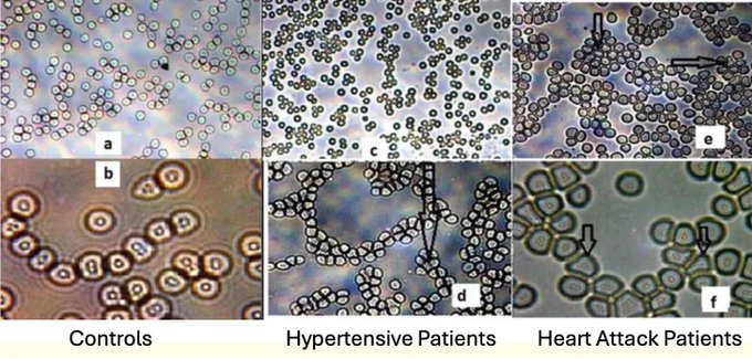 Image in tweet by The Vigilant Fox 🦊