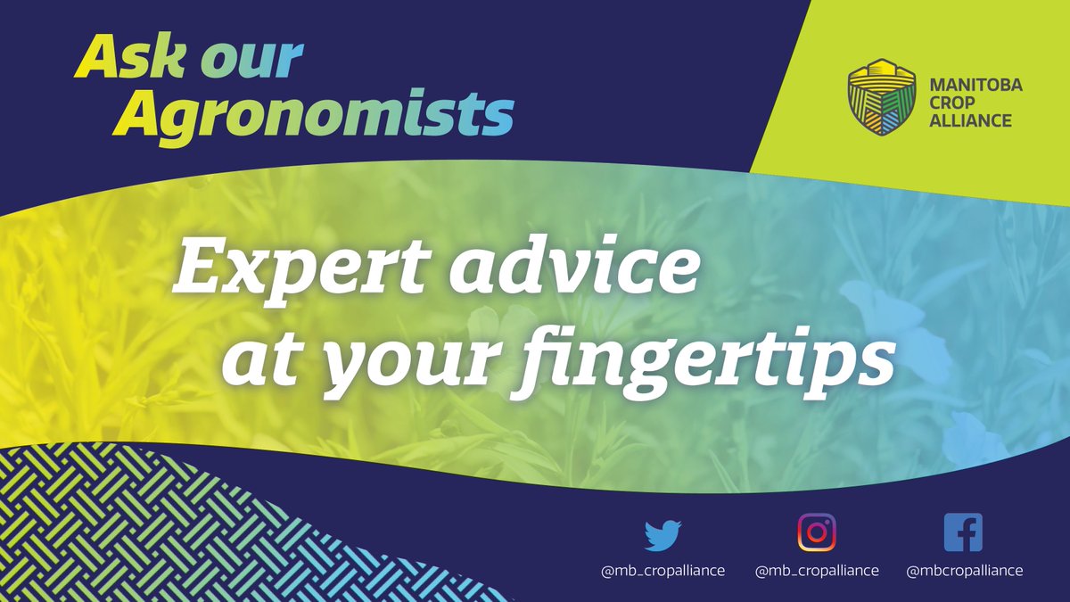 As we head into another growing season, remember that our agronomy extension specialists <a href="/A_Hecs/">Andrew Hector</a>, @MorganCott1 &amp; <a href="/AshAmmeter/">Ashley Ammeter</a> are here to help answer your crop production questions! 

Have an agronomic issue and need support? Just #AskOurAgronomists!

#cdnag #westcdnag #MbAg