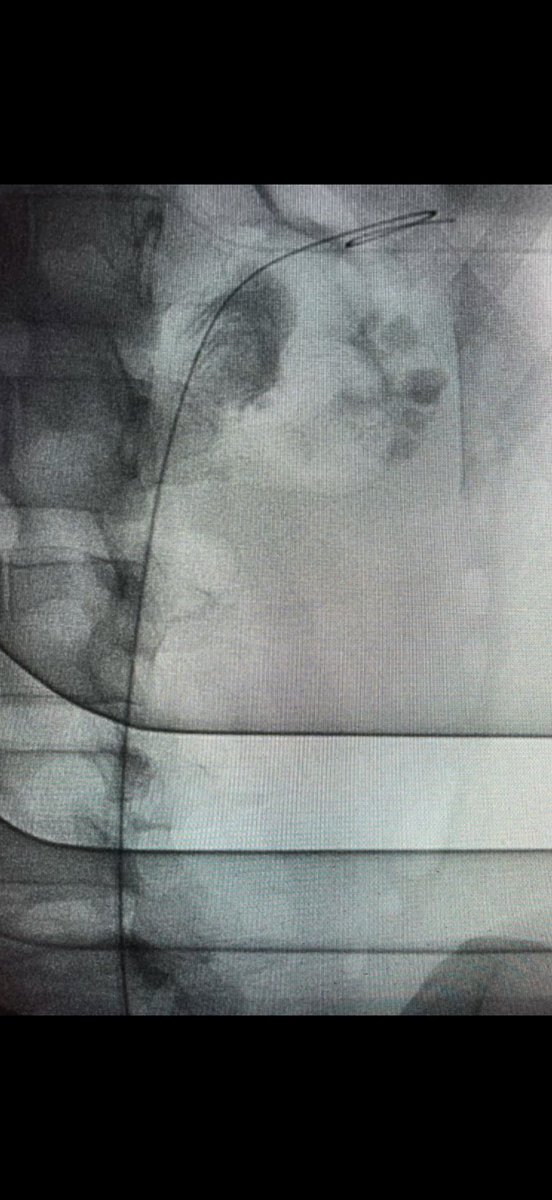 Guido Giusti tweet media