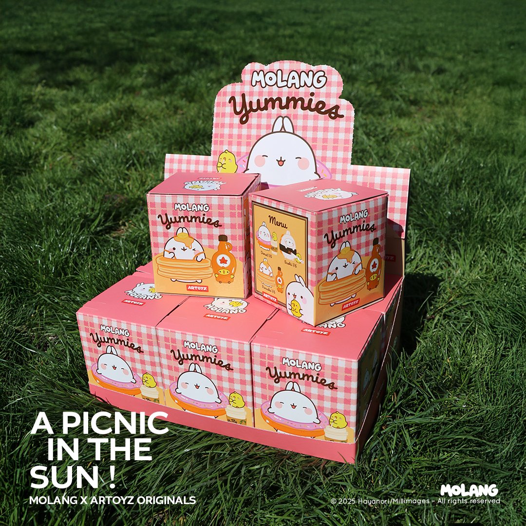 Artoyz luxury packaging