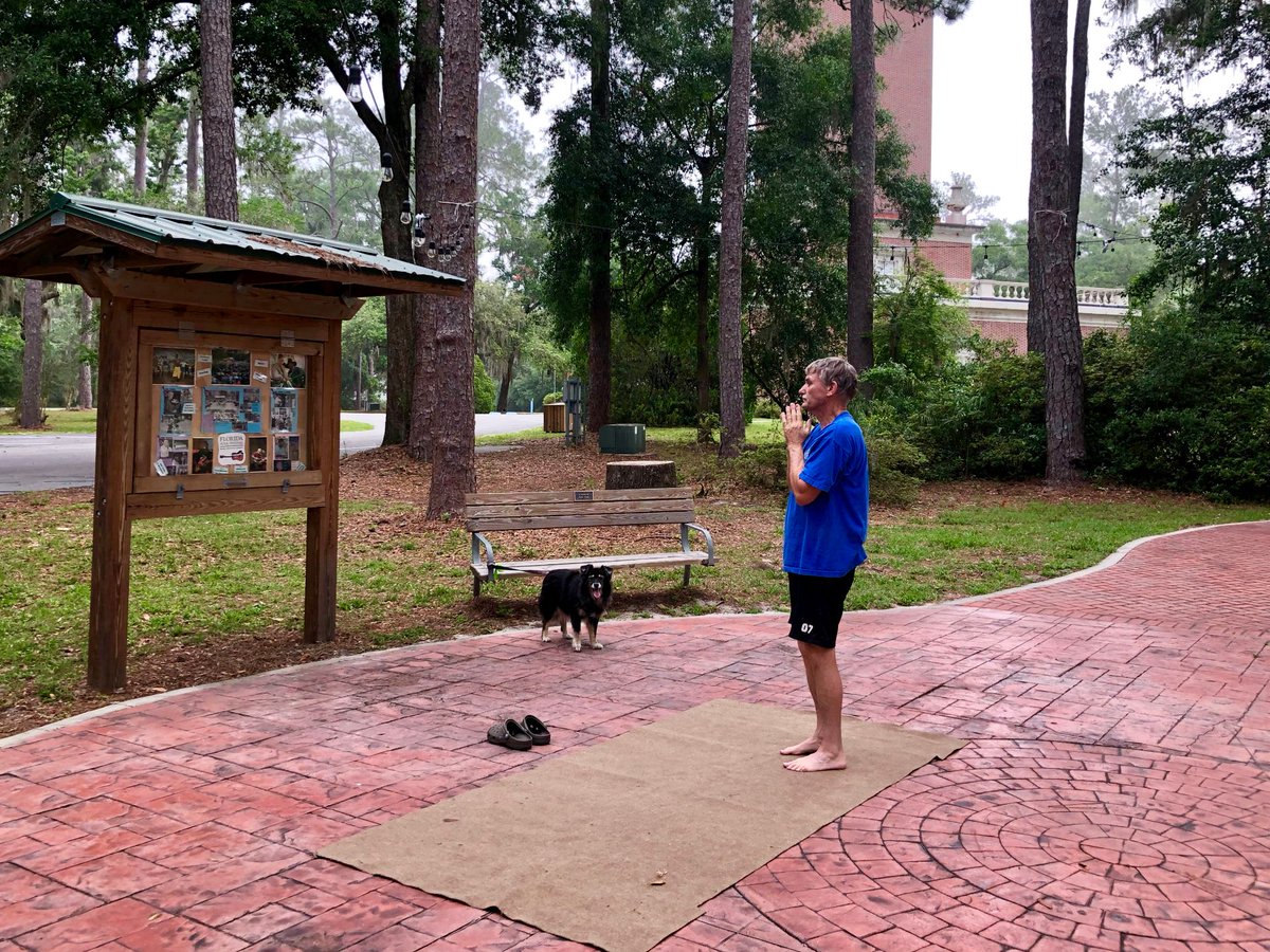 DrStaceyDVM's tweet image. Have you ever tried outdoor #yoga? I put an app on my phone and we stream yoga and practice outdoors at parks, campgrounds, beaches, or hotels. Great for fitness, focus, fun, & relaxation & we hope it inspires others, too. #nature, #healthyhabits