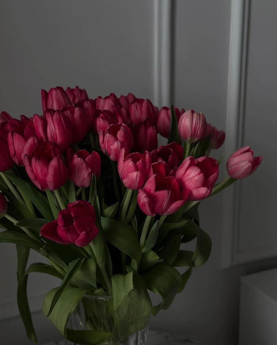 ✮⋆˙ (@dmugg7) on Twitter photo 