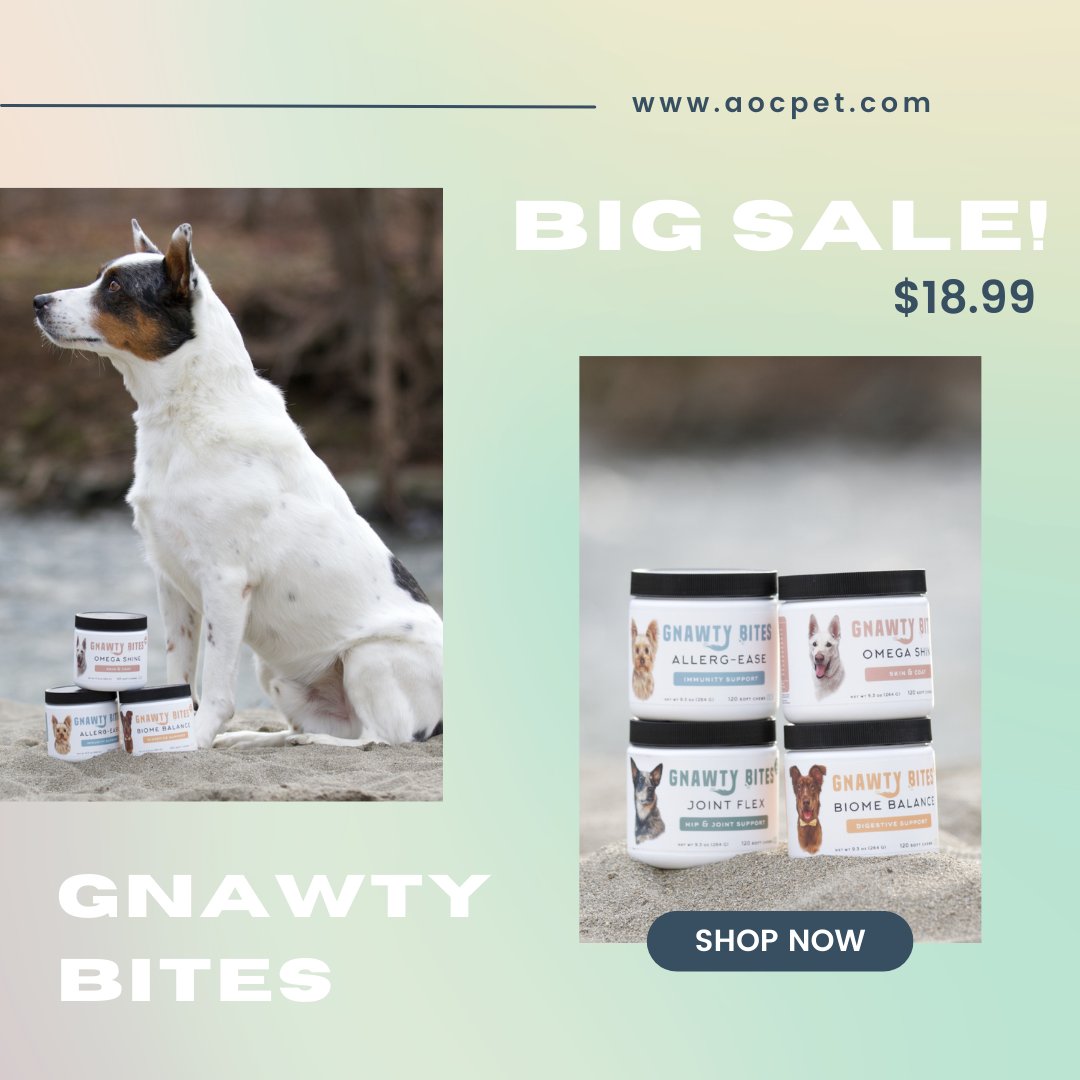Better health, better price 🦴✨🐶 Get your paws on Gnawty Bites while they’re on sale! 🐾🐕️

#empower #pemf #pemftechnology #inflammation #painrelief #doghealth #natural #healing #recovery #bloodflow #pemftherapy #dogs #dogtherapy #ivdd #arthritis #nosideeffects