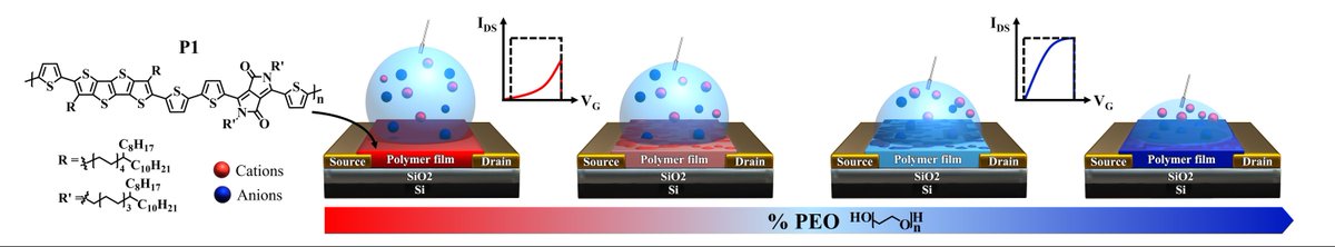 DMSE at MIT (@mit_dmse) on Twitter photo New, easy-to-make materials improve organic electrochemical transistors—key to future bioelectronics and brain-inspired computing. <a href="/AGumyusenge/">Aristide Gumyusenge</a> and team share their findings in Small: buff.ly/40Pbro4 New, easy-to-make materials improve organic electrochemical transistors—key to future bioelectronics and brain-inspired computing. <a href="/AGumyusenge/">Aristide Gumyusenge</a> and team share their findings in Small: buff.ly/40Pbro4